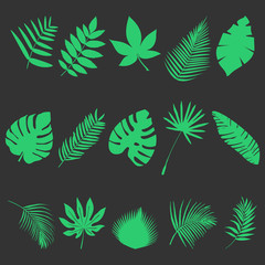 Naklejka premium Set of leaves
