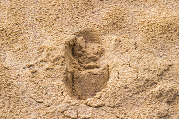 Footprint in the sand. Macro photo close up from above