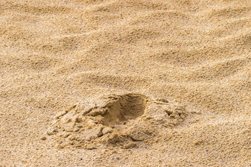 Fototapeta na wymiar Footprint in the sand. Macro photo close up from above