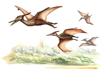 Pterodactyl dinosaur  in prehistorical landscape. Watercolor hand drawn illustration, isolated on white background © dariaustiugova