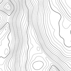 Vector contour topographic map background. Topography and geography map grid abstract backdrop. Business concept. Vector illustration
