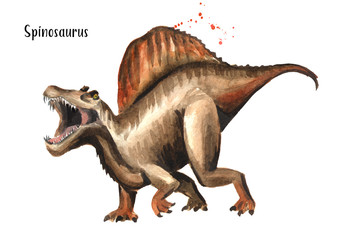 Spinosaurus dinosaur. Watercolor hand drawn illustration, isolated on white background