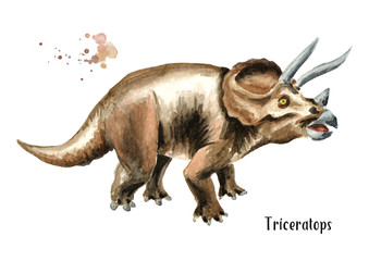 Triceratops dinosaur. Watercolor hand drawn illustration, isolated on white background © dariaustiugova