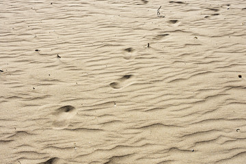 some steps in the sand