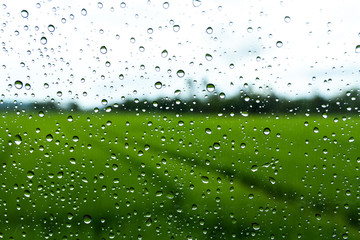 Water drops on glass with green paddy field background