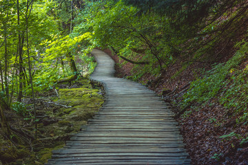 Obraz premium Beautiful view in Plitvice Lakes National Park. Croatia