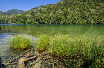 Obraz premium Beautiful view in Plitvice Lakes National Park. Croatia