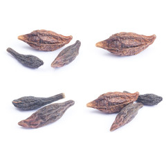 Thai herb name Terminalia citrina Roxb. ex Fleming isolated on white background. Thai herb medicine...