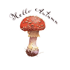 Watercolor mushroom. Hand watercolor painting on white background.