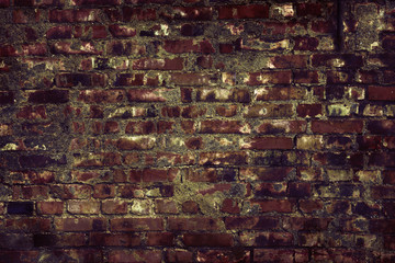 Old brick wall texture - Background 