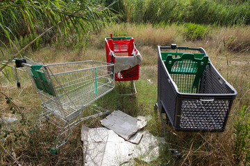 Carrito de la compra