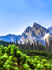 Polish Tatra mountains summer landscape with blue sky and white clouds. Panoramic HDR montage