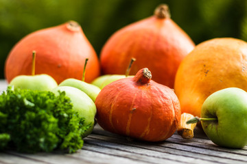 K&uuml;rbis, &Auml;pfel und Petersilie, bio Herbsternte