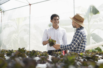 Asian farmers and consultants, he's talking about having to increase productivity.