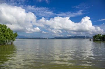 深圳湾