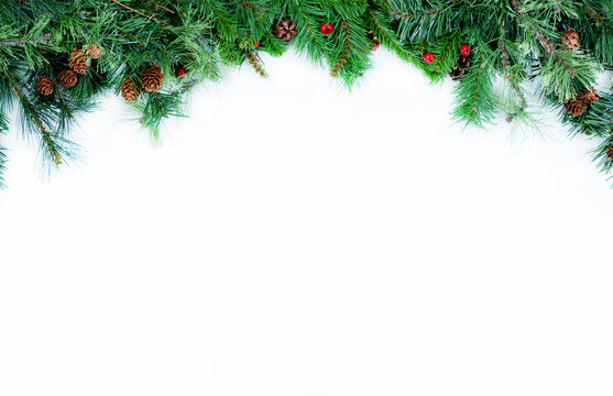 Top Border of Christmas tree evergreen branches on a white background