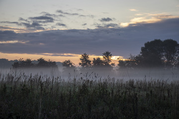 Morning mist in the nature