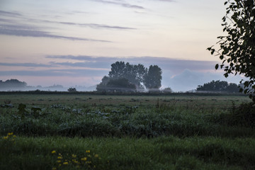 Morning mist in the nature