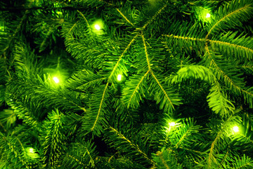 Christmas decoration