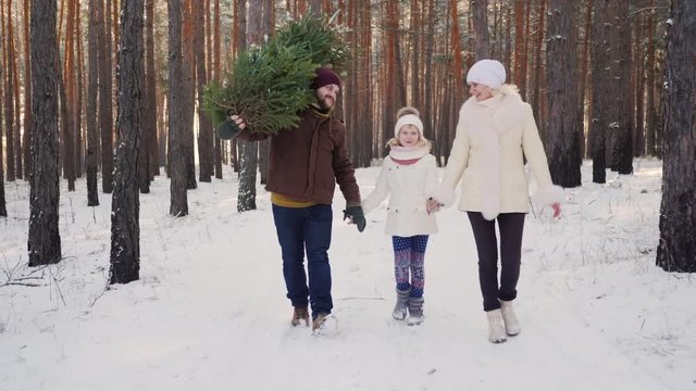 A happy family with a child is walking along a snow-covered forest, the father is carrying a Christmas tree. Christmas Eve and New Year's Eve.