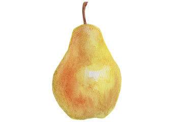 Watercolor drawing of tropical fruit on isolated white background. Detailed manual work with bright colors.