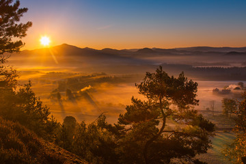 Obraz premium Cold misty foggy morning in a fall valley of Bohemian Switzerland park. Hills with fog, landscape of Czech Republic
