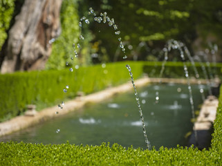 Generalife fountain and gardens in Alhambra