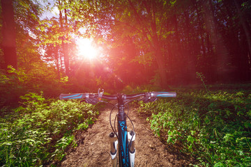 Mountain biking down hill descending fast on bicycle. View from bikers eyes.
