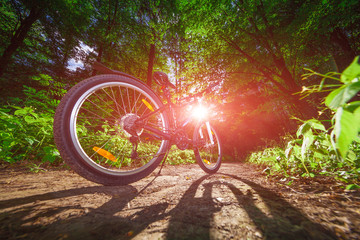 Mountain biking down hill descending fast on bicycle. View from bikers eyes.