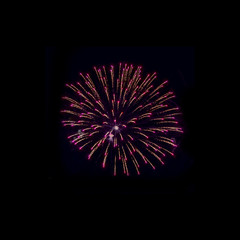 Obraz premium Festive fireworks on black background for cut out isolated.