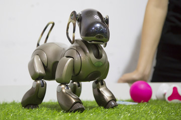 electronic dog toy