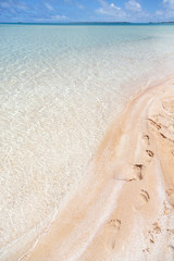 in polynesia  the pink sands of the coastline