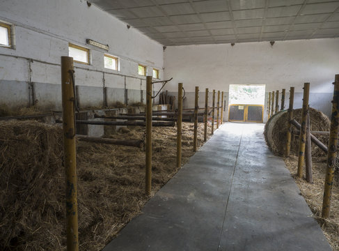 old empty horse stable stall block in historical farm Benice