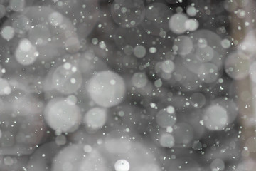 Obraz na płótnie Canvas winter background blurry snow,Snow falling on dark winter night. Snowflakes bokeh effect abstract blur