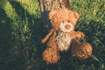 Miserable abandoned teddy bear outdoors