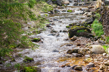 Mountain stream with stones covered with moss and green grass. Beautiful views in the Polish Tatras.