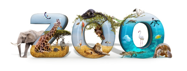 Zoo 3D Word and Animal Composite