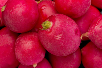 Red Radishes