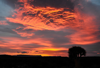 Sunrise In The Karoo