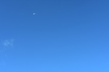 Morning Moon