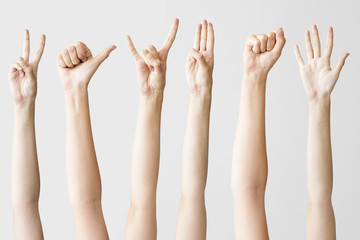 Multiple female hand gestures on gray background