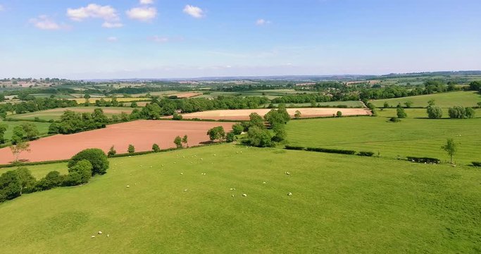 Aerial view of English countryside with agriculture farms, grazing sheep, green meadows, pastures, hedgerows on a summer day in Cotswolds .