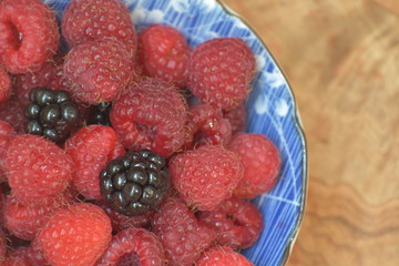 Maliny © Barbara Bajorek