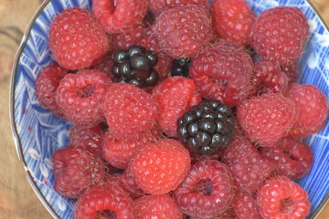 Maliny © Barbara Bajorek