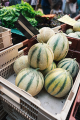 French melons ready to e sold  in a french food market