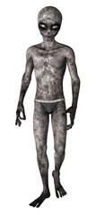 Alien creature, full body isolated on white. 3D rendering.