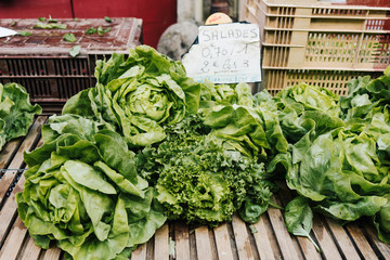 Lettuces ready to be sold in a french market