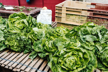 Lettuces ready to be sold in a french market