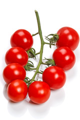 Brush red cherry tomatoes on white