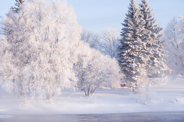 River flowing through winter landscape. Trees covered with frost.